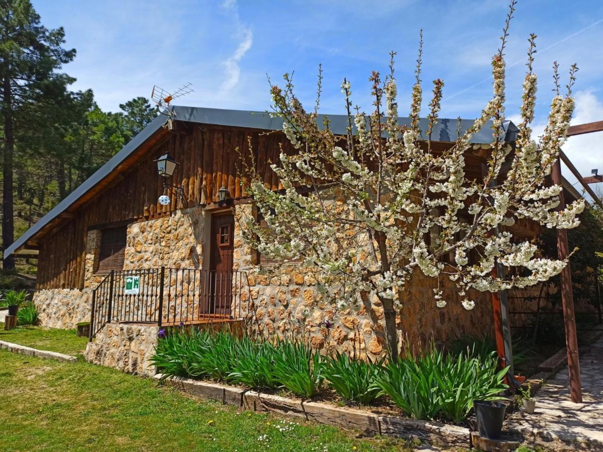 Chalet Esmeralda 3 D Y 2 Banos Zafiro Lagunazo Parque Natural Rio Mundo Riópar Extérieur photo