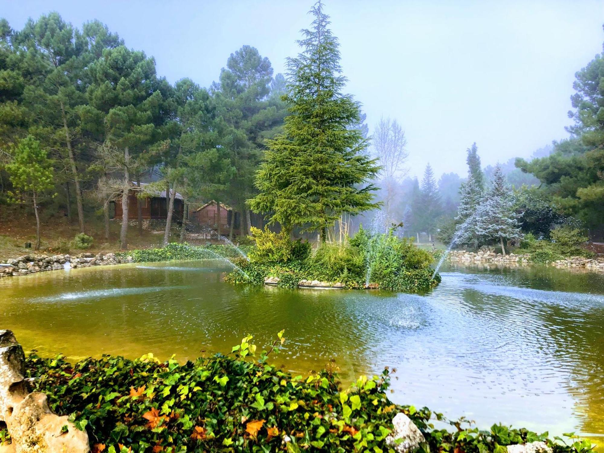 Chalet Esmeralda 3 D Y 2 Banos Zafiro Lagunazo Parque Natural Rio Mundo Riópar Extérieur photo