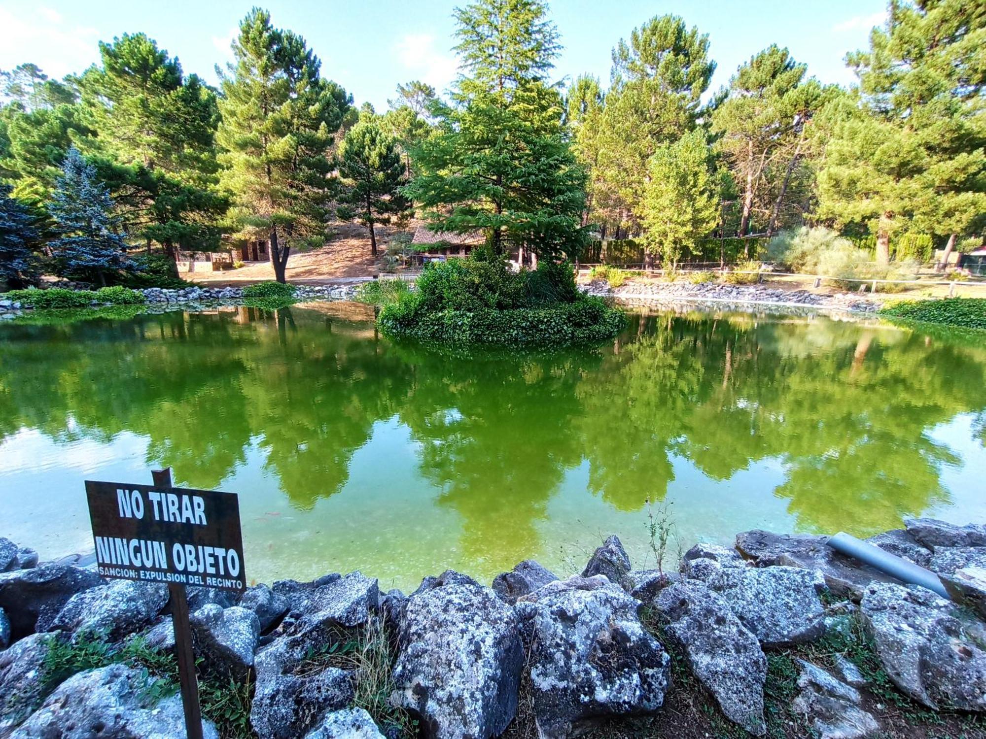 Chalet Esmeralda 3 D Y 2 Banos Zafiro Lagunazo Parque Natural Rio Mundo Riópar Extérieur photo